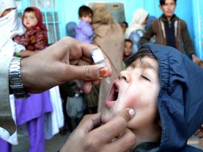 Polio vaccination, Pakistan (Asianet-Pakistan)