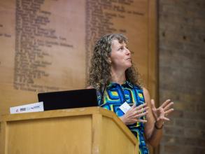 Prof Jo Prior, dstl