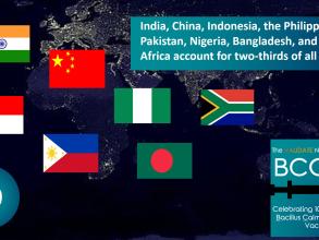 bcg100 fact infographic