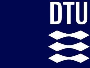 DTU Logo