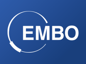 EMBO logo