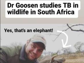 goosen bsi instagram