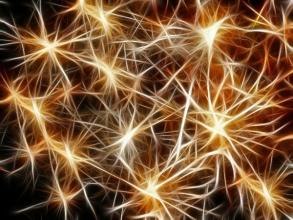 Image of light network