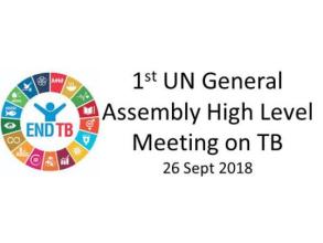 1st UN General Assembly High Level Meeting on tuberculosis