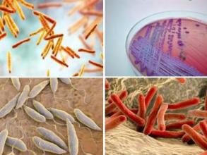 VALIDATE pathogens