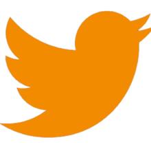 twitter validate colour