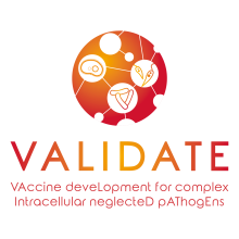VALIDATE logo