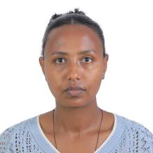 Fregenet Tesfaye Tegegn