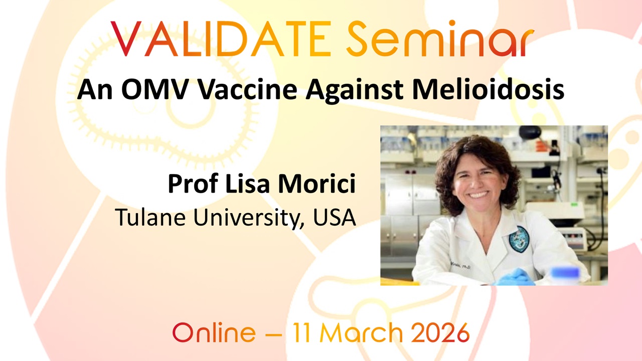 An OMV Vaccine Against Melioidosis