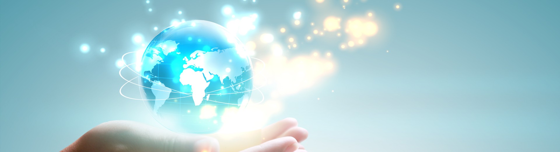 person holding global network